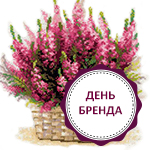 День бренда «Риолис»